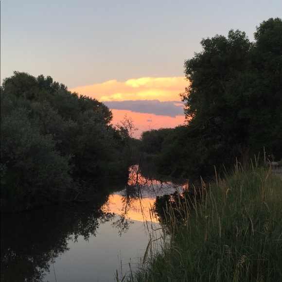 Meet your Posher, Sahar - Picture 1 of 1